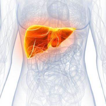 Buy Active Liver™ Gummies Canada Online