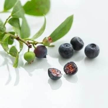 Buy Blue Berry ™ Strong 120s Canada Online