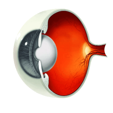 Buy Blue Berry ™ Strong 120s Canada Online