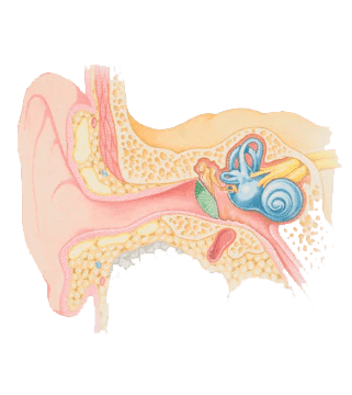 Buy Ear Tone ™ Canada Online