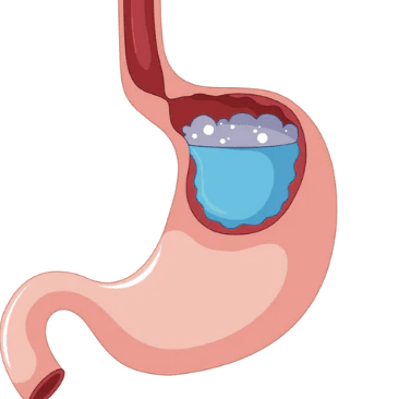 Buy Frutin ™ Gastro Gel Canada Online