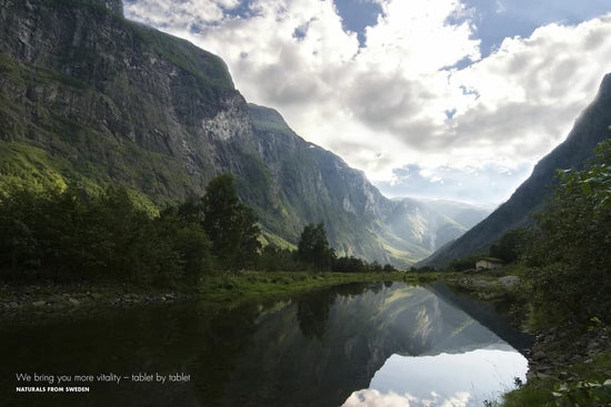 The Path to Vitality Begins with a Single Step - New Nordic