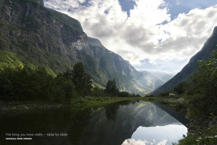 The Path to Vitality Begins with a Single Step - New Nordic