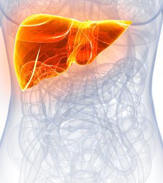 Active Liver™ 60's