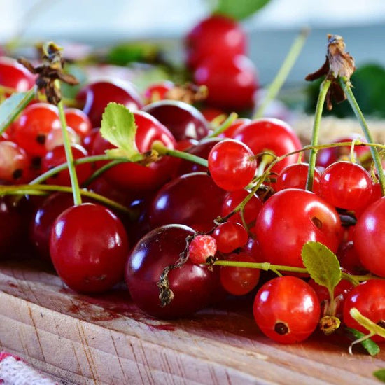 Cran Berry™ Gummies