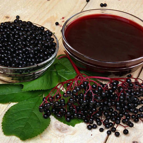 Elderberry ™ Gummies